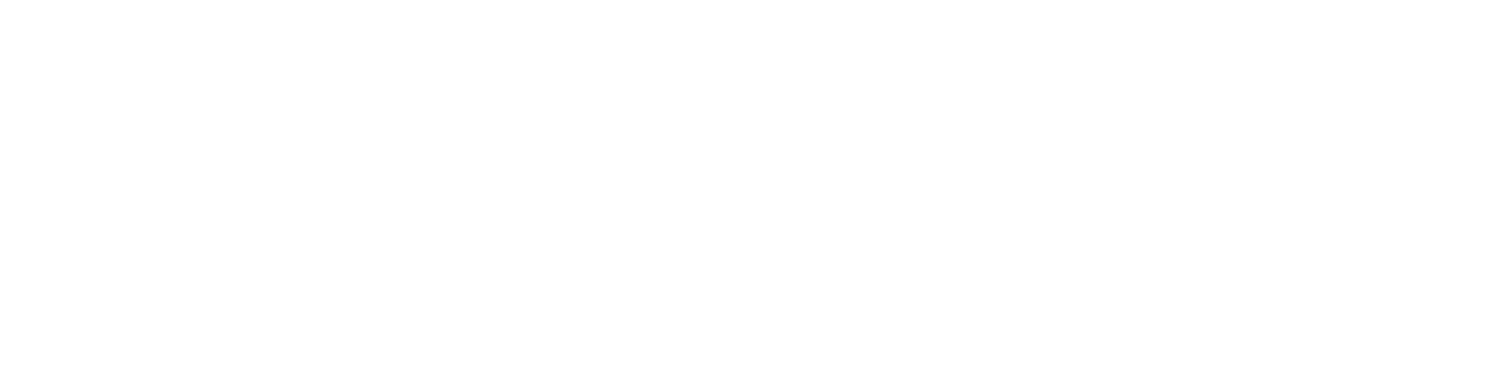 Logo Weiß.png