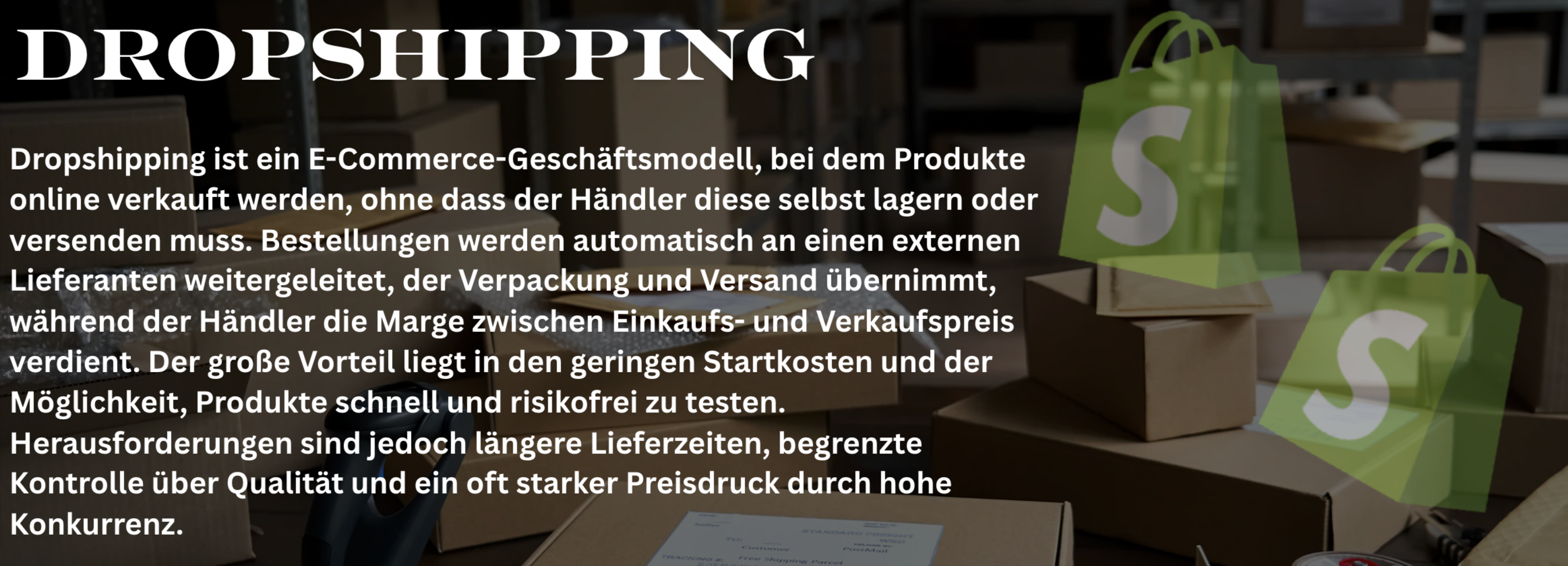 ecommerce dropshipping.png