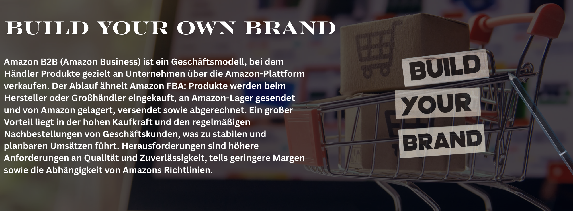 Bildschirmfoto 2025-12-19 um 21.23.47.png