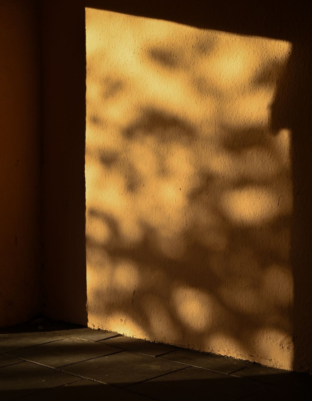 Warmes goldenes Licht und sanfte Schatten in ruhiger, achtsamer Atmosphäre