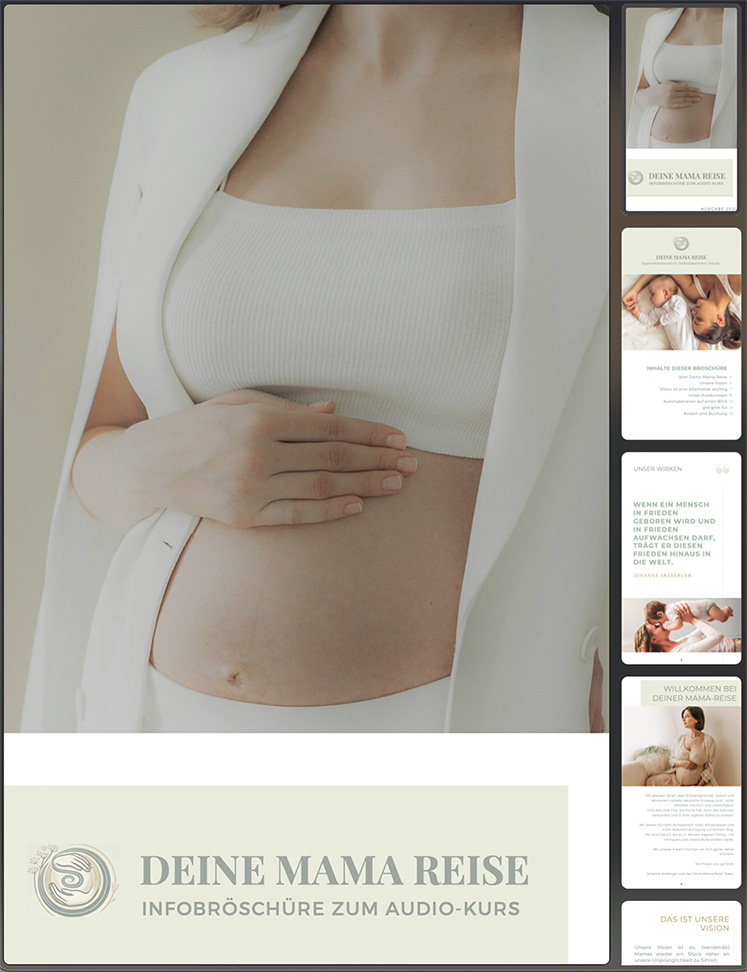 infobroschüre mockup.jpg