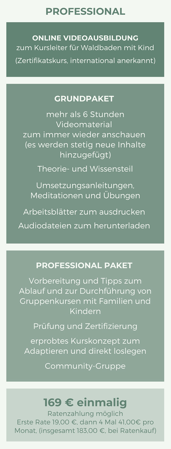 Websitegrafik Kinderkurs Preis Professional.jpg