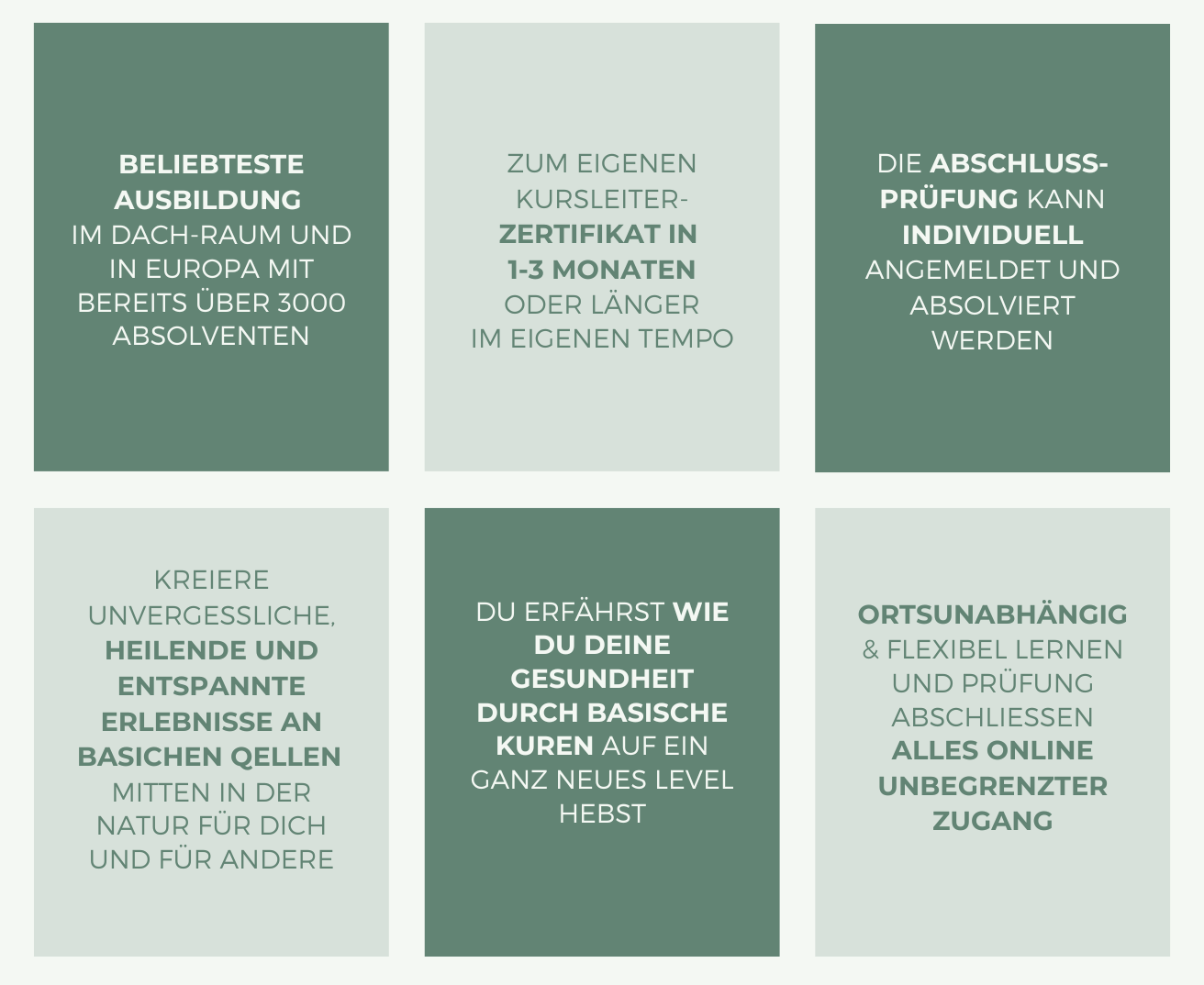 Copy of Vorlage für Treeming Infobroschüre Waldbaden öffnen Ausgabe 2025 (Presentation).png