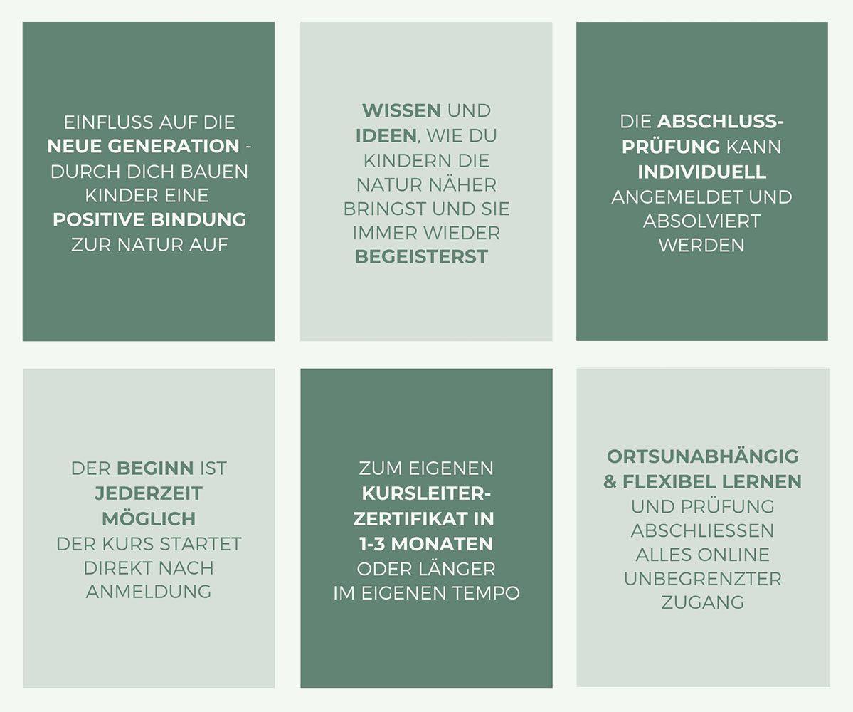 Websitegrafik quer Dein Kurs.jpg
