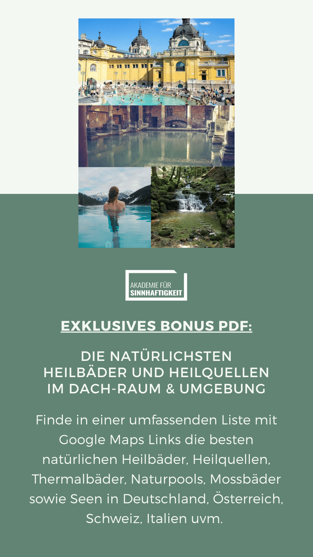 Alkalisch Waldbaden Infobroschüre Ausgabe 2026.png