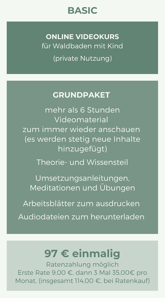 Websitegrafik Kinderkurs Preis Basic.jpg
