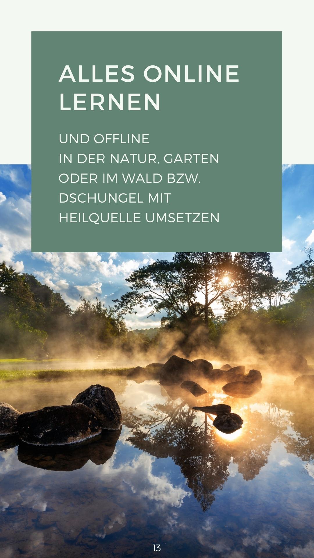 Alles online.jpg
