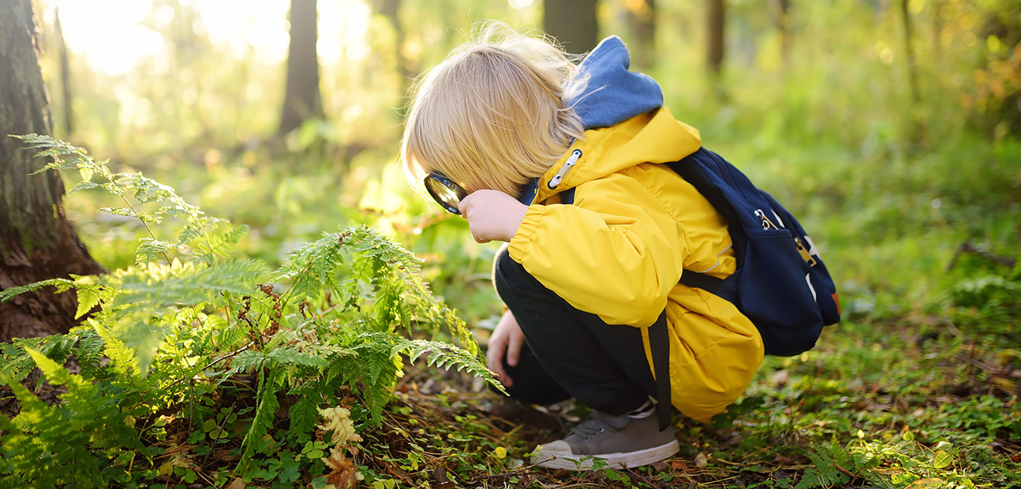 Waldbaden mit Kind Hauptrafik weboptimiert.jpg