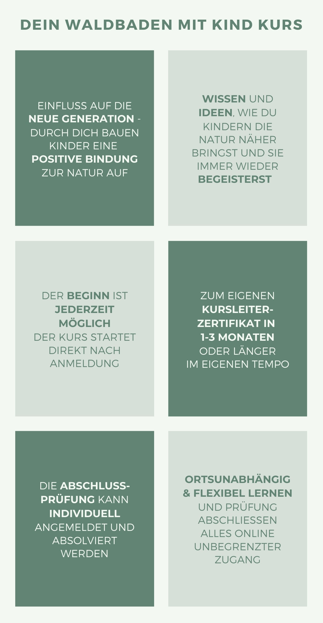 Websitegrafik hochkant Dein Kurs.jpg