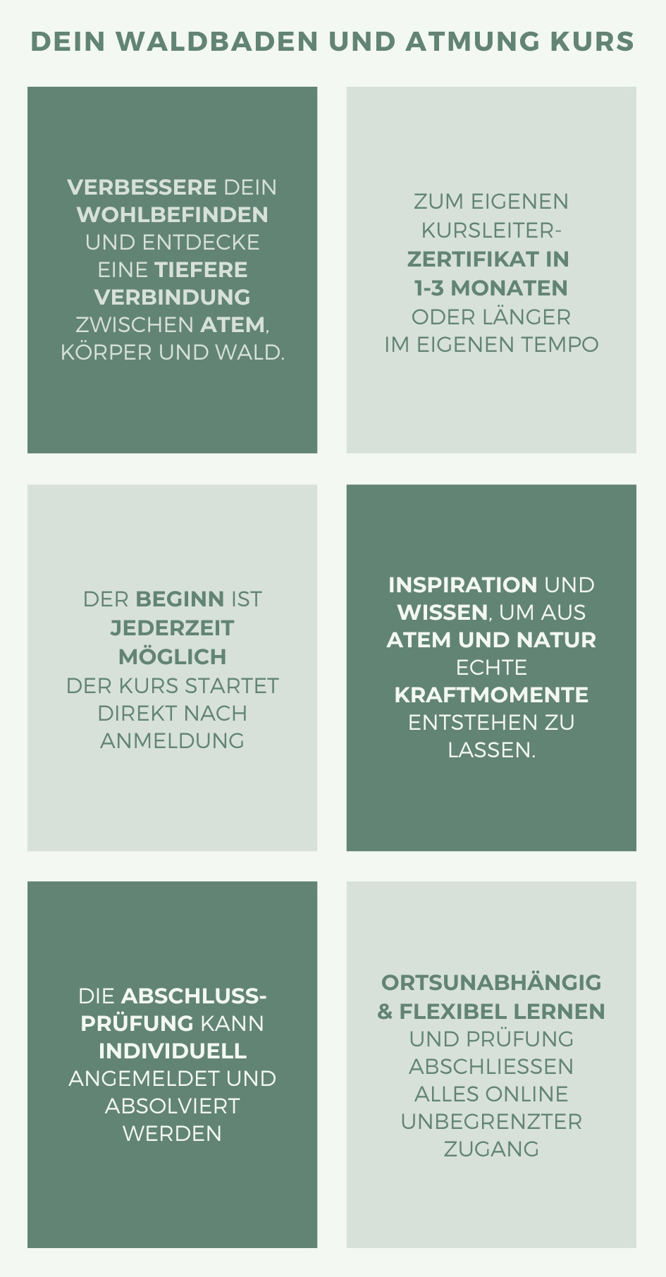 Grafik dein Waldbaden und Atmung Kurs hochkant.jpg