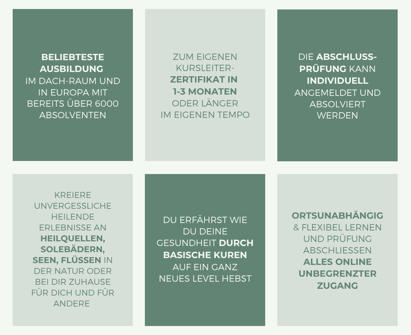 Copy of Vorlage für Treeming Infobroschüre Waldbaden öffnen Ausgabe 2025 (Presentation) (1).png