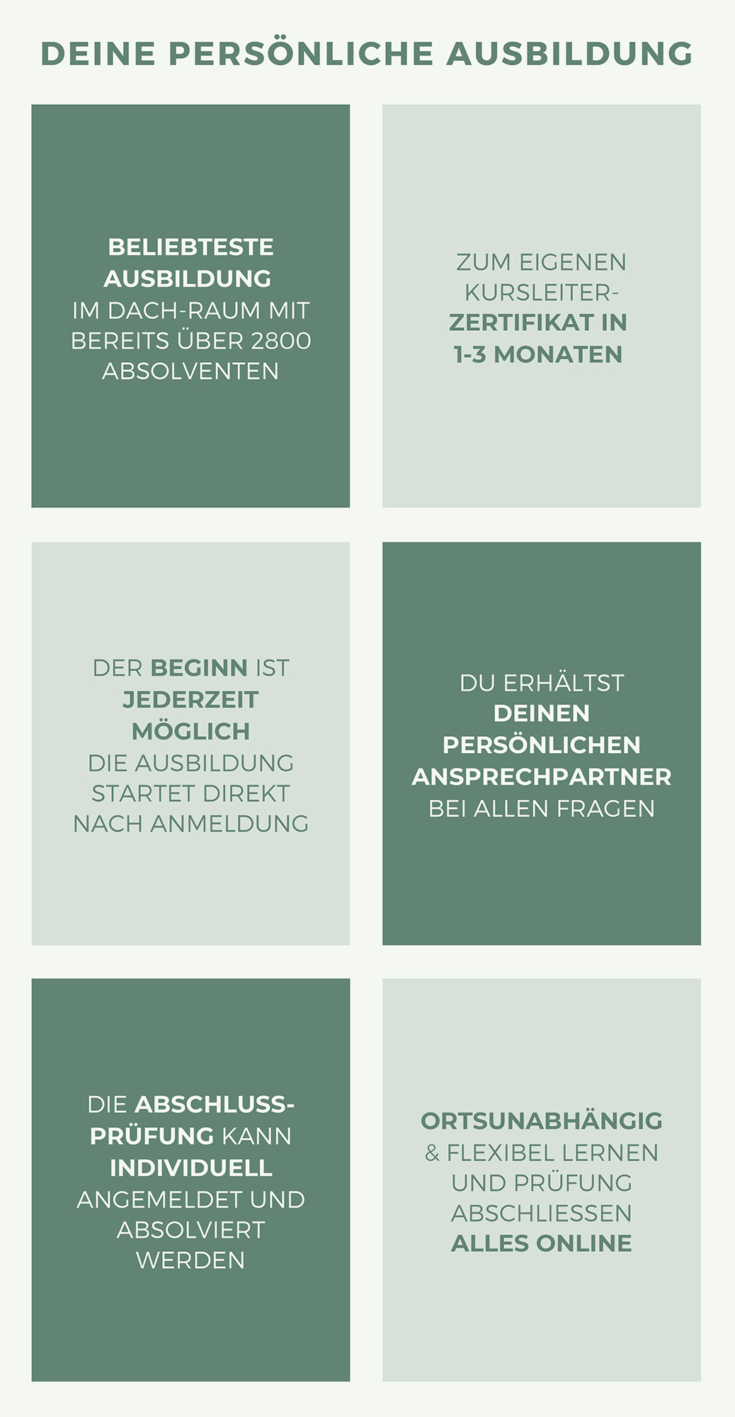 Grafik Ausbildungsfacts.jpg