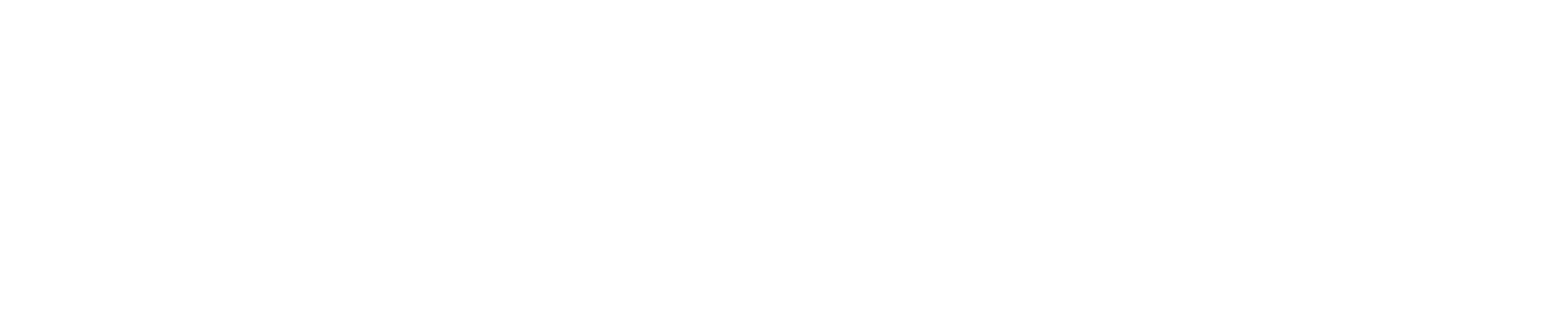 Lukas Kraehmer_white.png