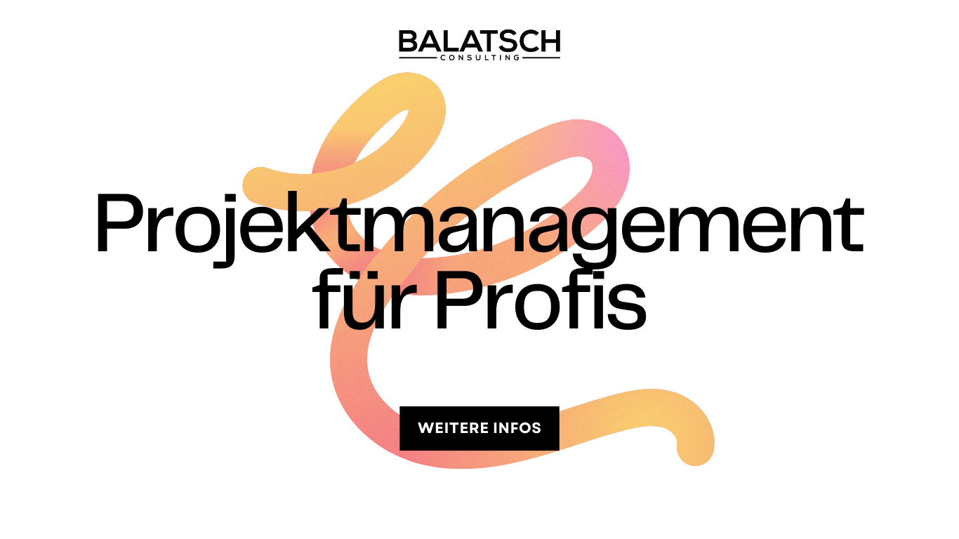 Projektmanagement für Profis: Erfolgreiche Planung und Umsetzung von Webdesign-Projekten mit Balatsch Consulting