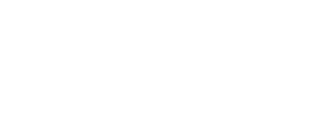 Logo_weiss.png