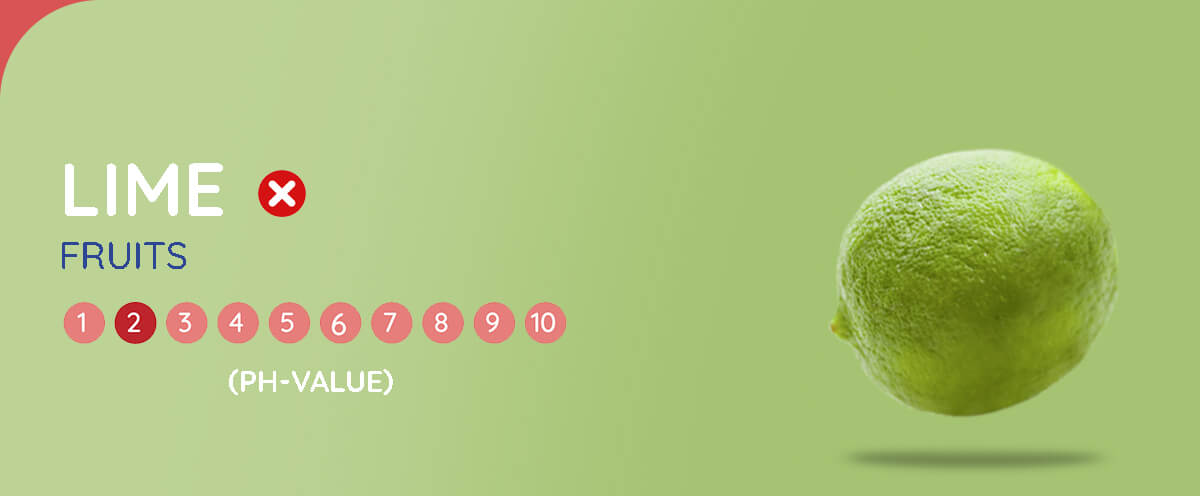 Reflux Formula - Stop LPR and GERD now