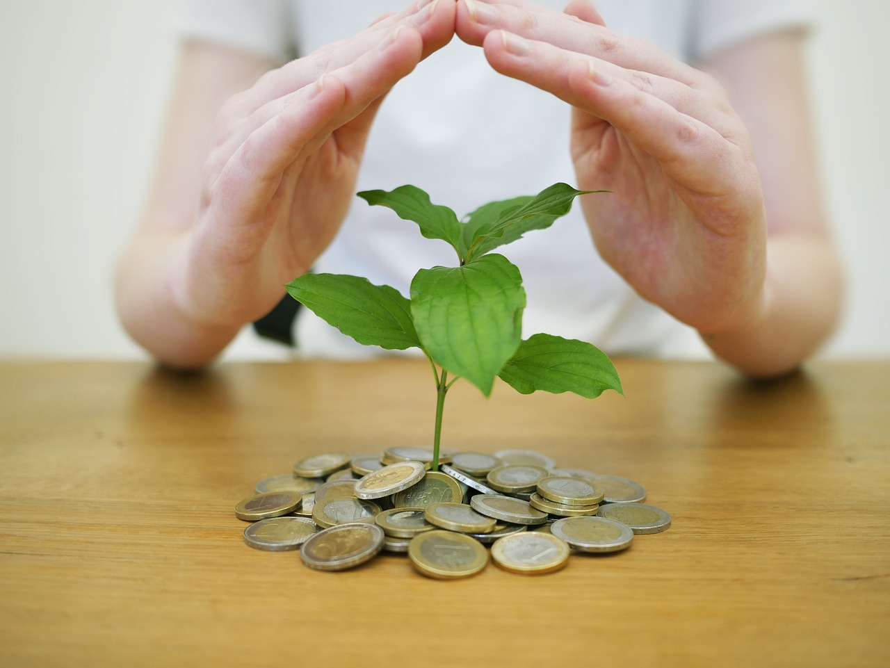 geld-sichern-geld-sparen-sparen-bank-m-nzen-wirtschaft-investieren-reichtum-finanzen-w-hrung-pleite-einkommen-gewinn-geld-investitionen-geld-sparen-sparen-sparen-sparen-sparen-sparen.jpg