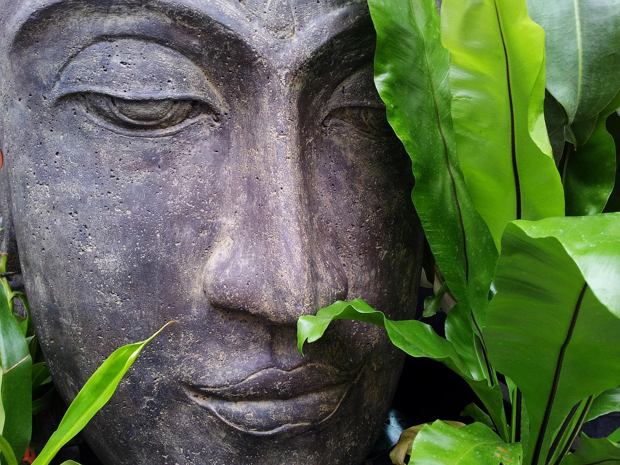 zen-buddha-entspannen-sie-sich-buddha-purnima-ruhe-gelassenheit-kunst-meditation.jpg