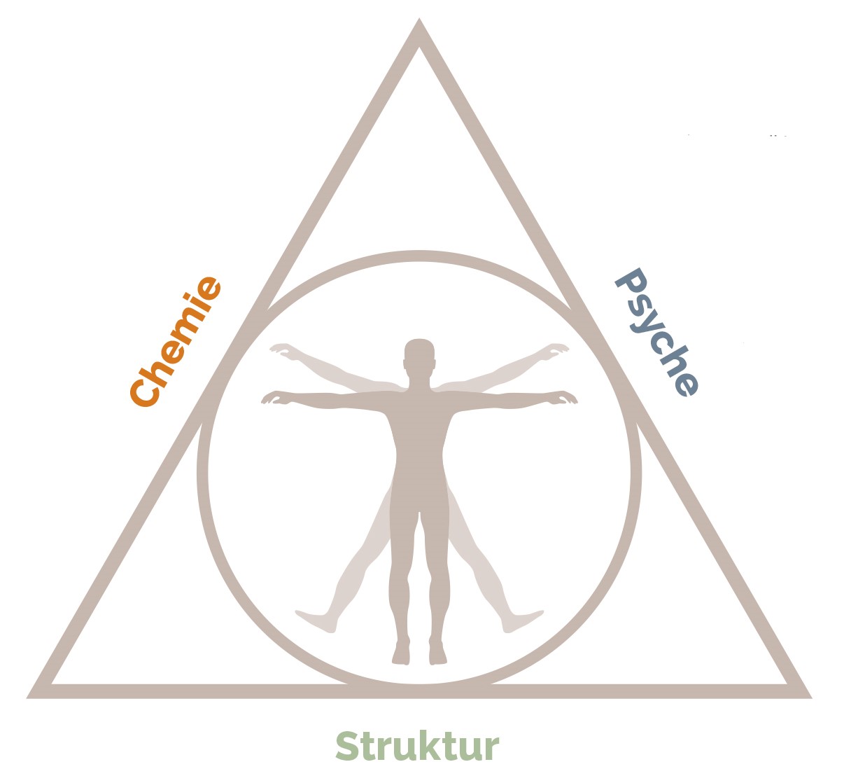 Das Dreieck der Gesundheit