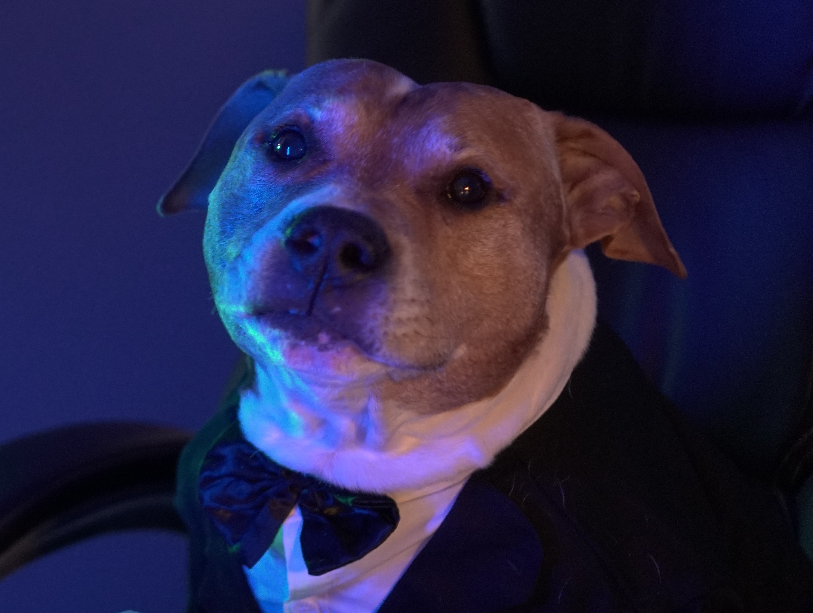 52f9c51a03f3d59e5ae6f2d3c2156746 (1).jpeg