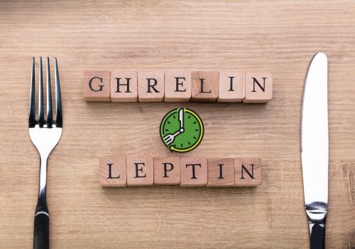Ghrelin + Leptin (500 x 350 px).png