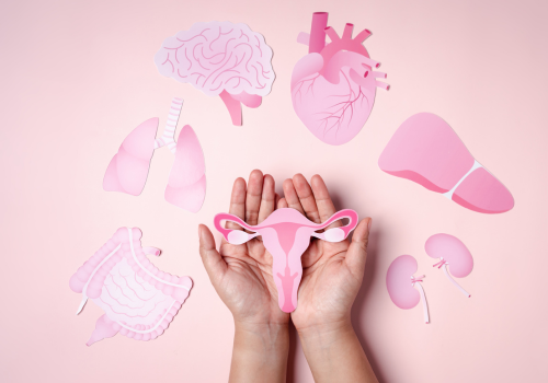 Östrogen Progesteron (500 x 350 px).png