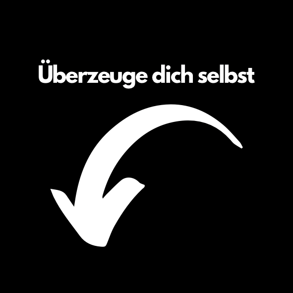 Kopie von shakemaster 2.png