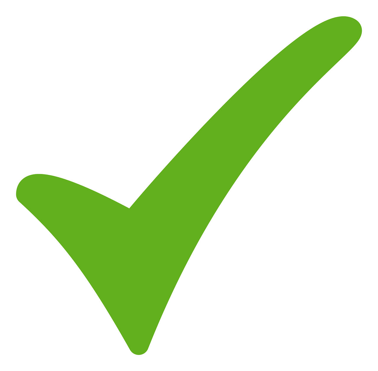 List Item Icon