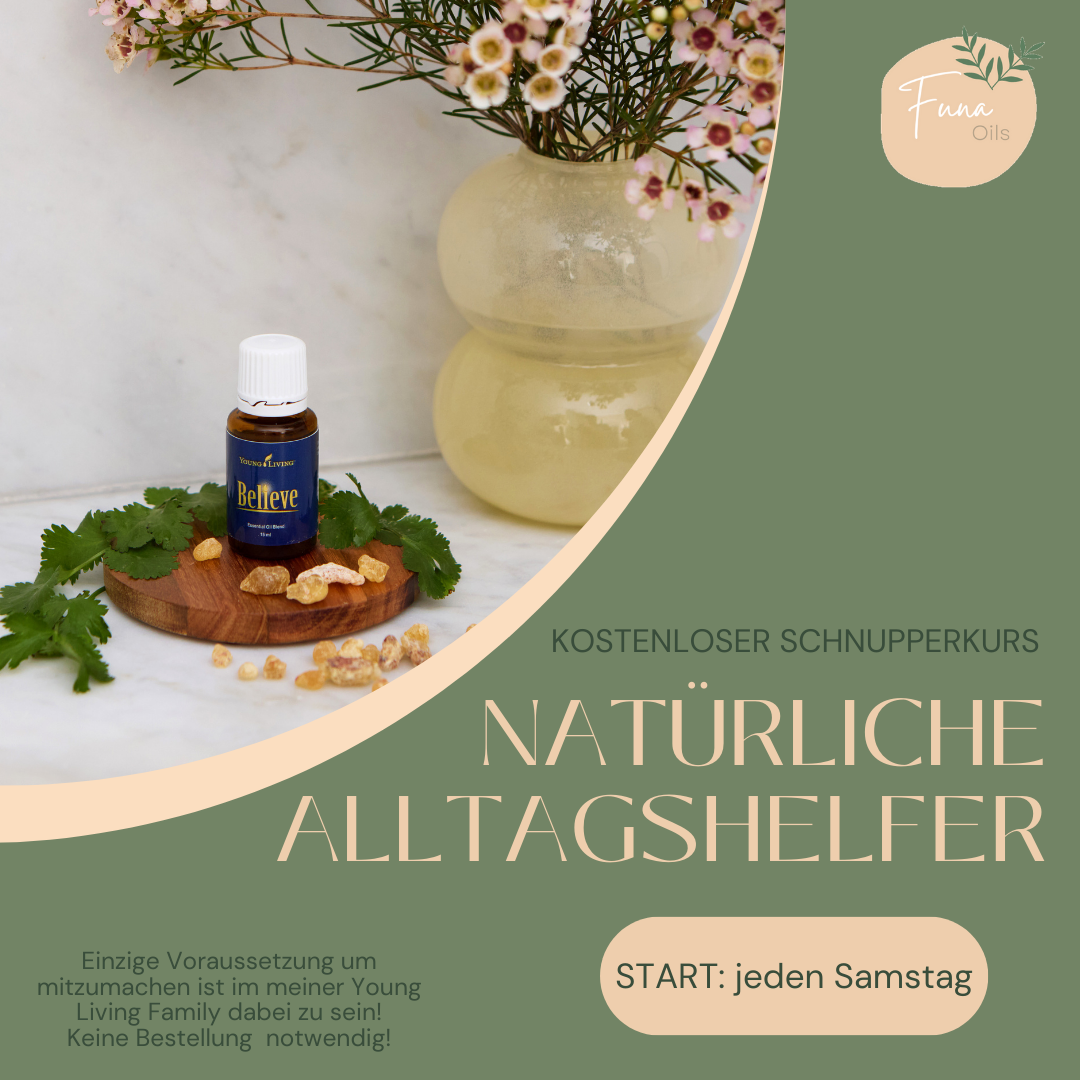 Natürliche Alltagshelfer Scnupperkurs.png