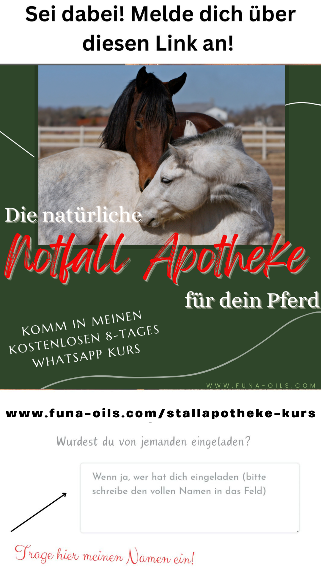 Freunde werden.png