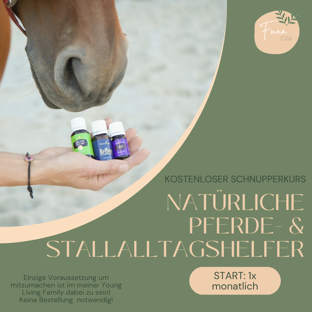 Stallalltagshelfer.png