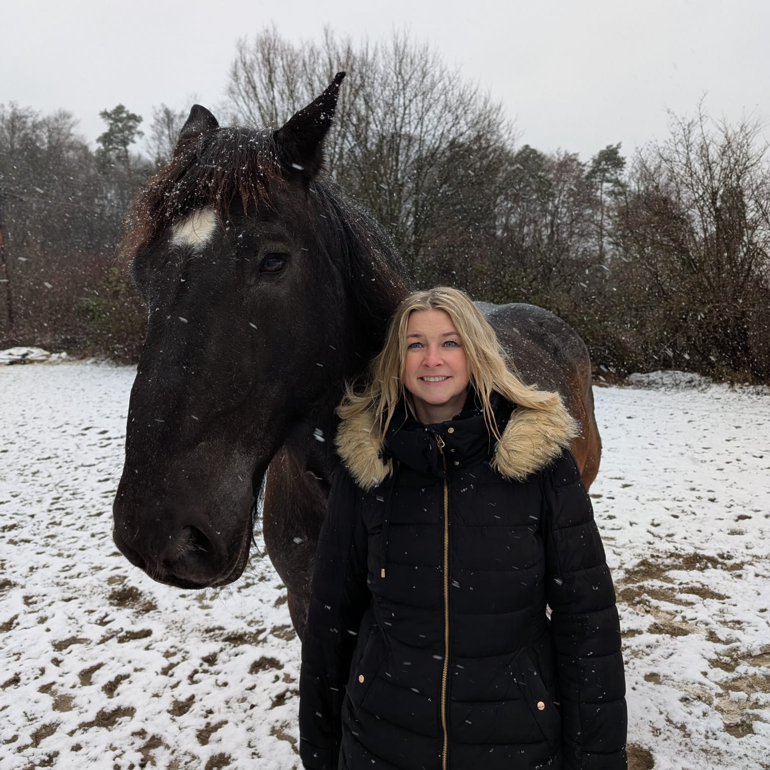 WhatsApp Image 2026-01-01 at 20.14.06.jpeg