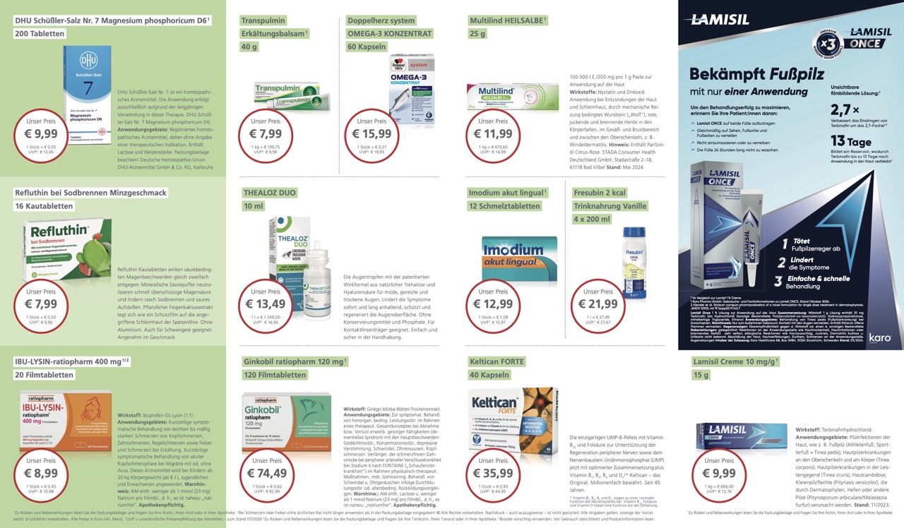 Vorschau Flyer - Innenseiten