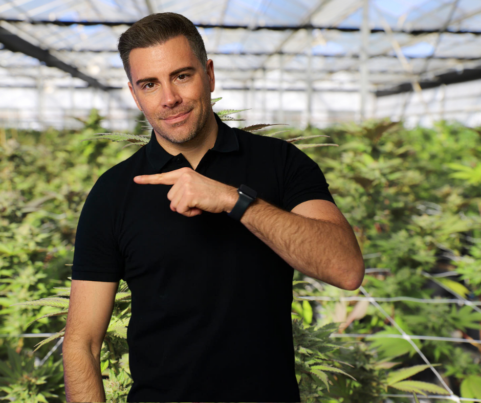 BSU Cannabis (2).png