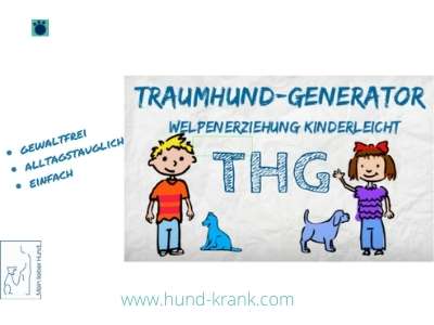 traumhund-generator-welpenkurs