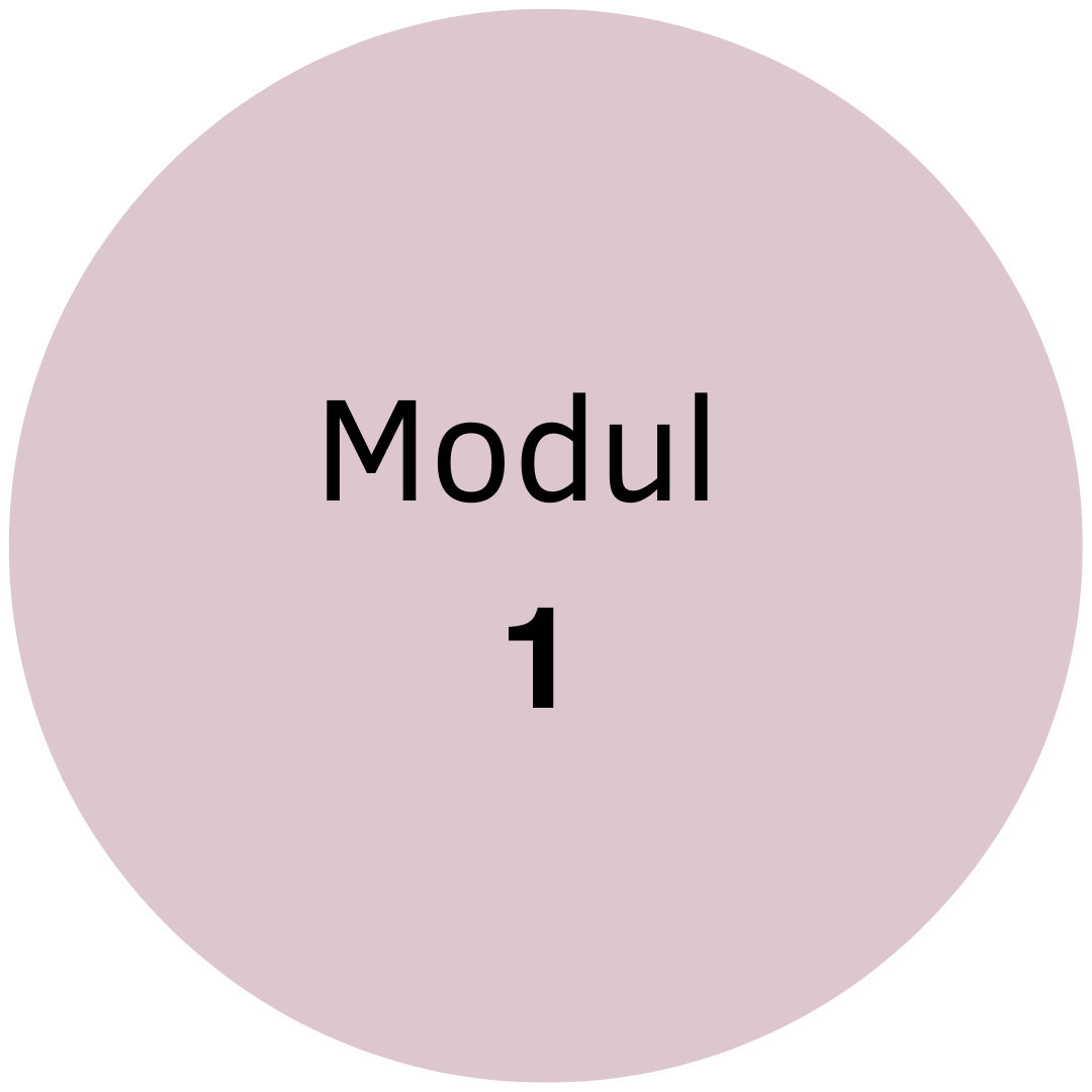 Modul 1.png