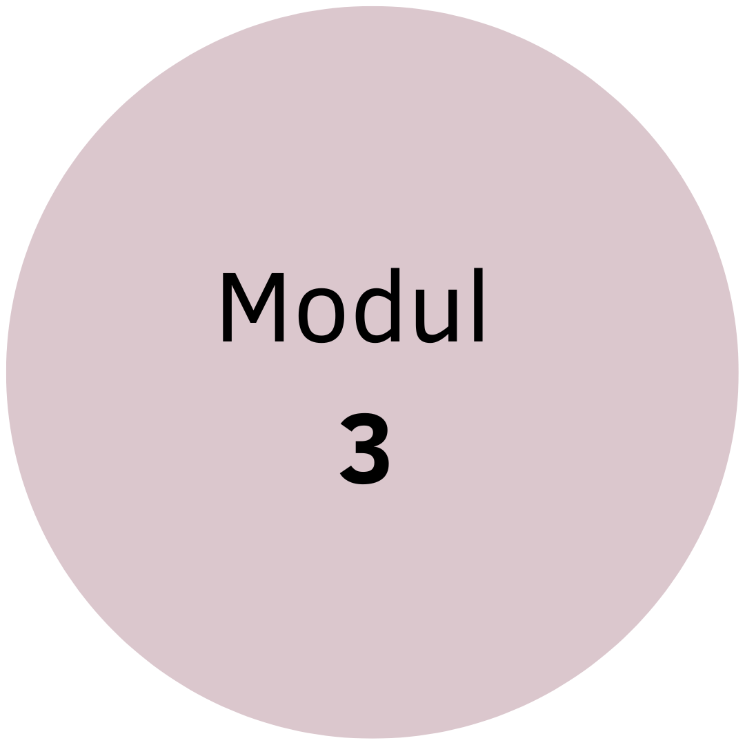 Modul 3.png