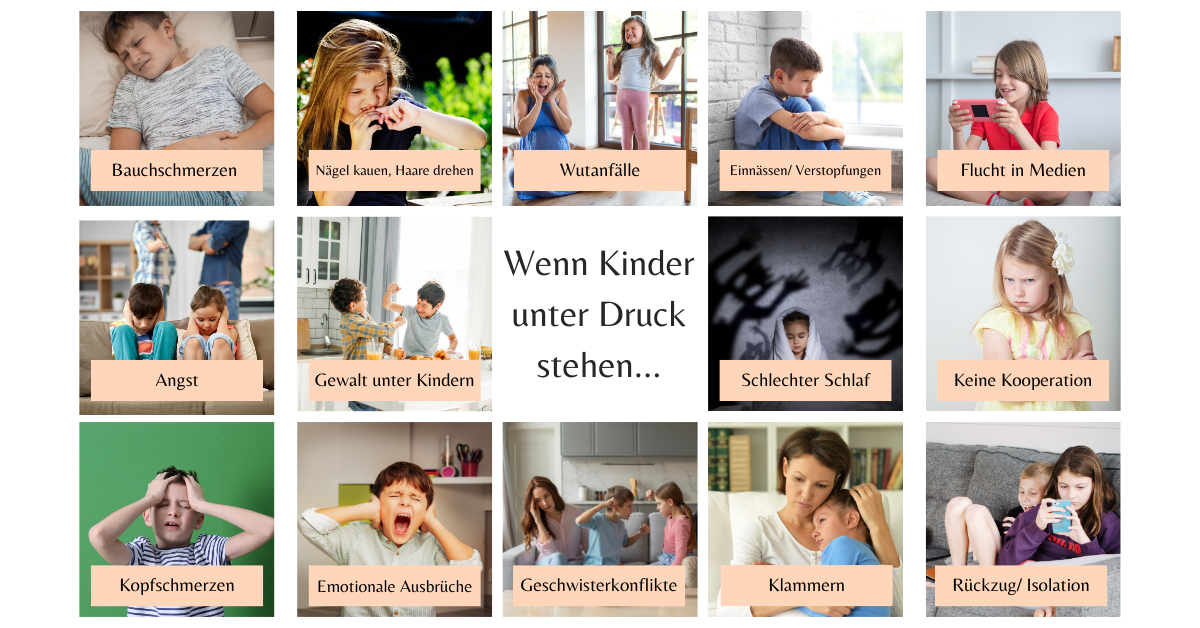 Collage Neu.png
