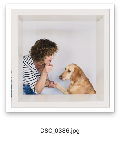 Sabine Grob 2025-01-04 um 16.36.30.png