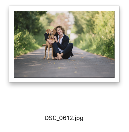 Sabine Grob 2025-01-04 um 16.36.59.png