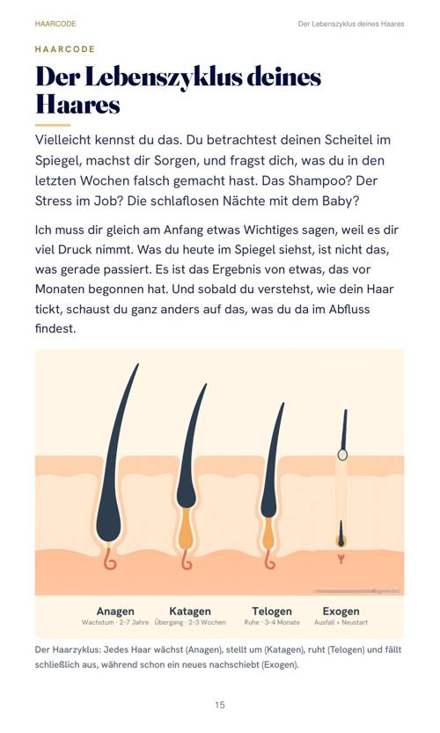 Haarzyklus Grafik