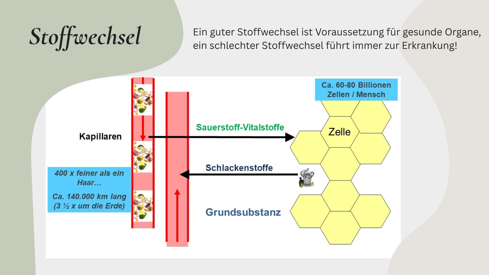 Gesundheits Präsi + Teil M.Plan (30).jpg