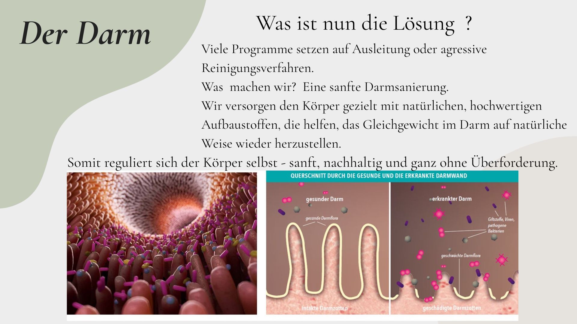 Gesundheits Präsi + Teil M.Plan (27).jpg