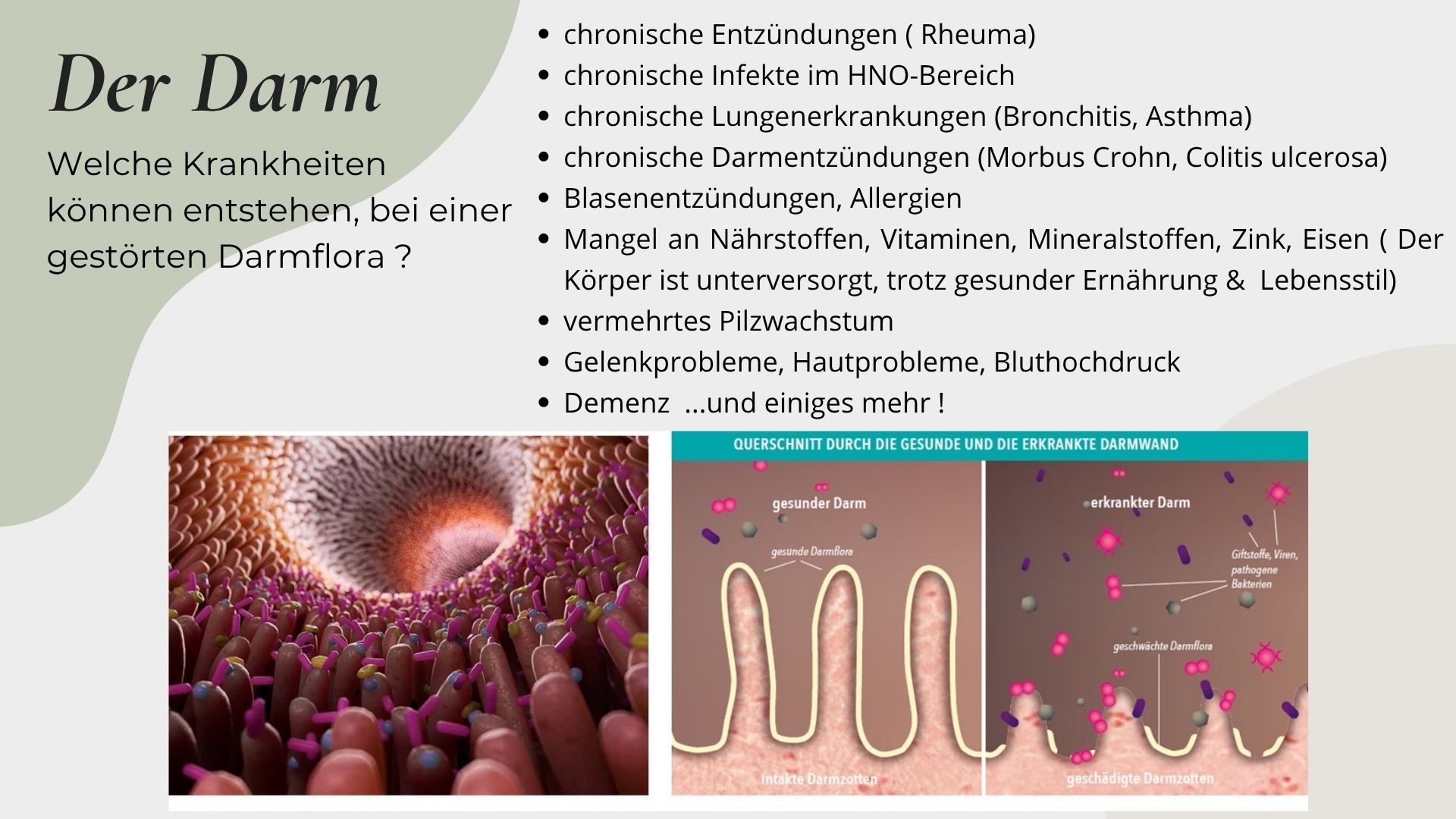 Gesundheits Präsi + Teil M.Plan (21).jpg