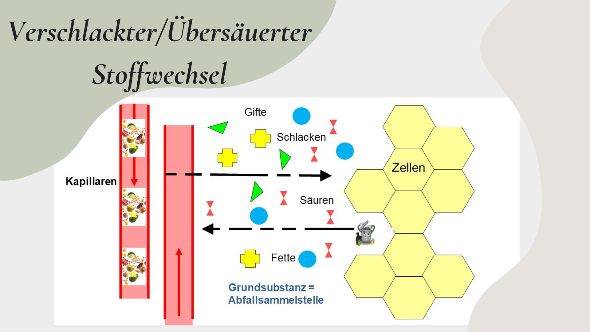 Gesundheits Präsi + Teil M.Plan (32).jpg