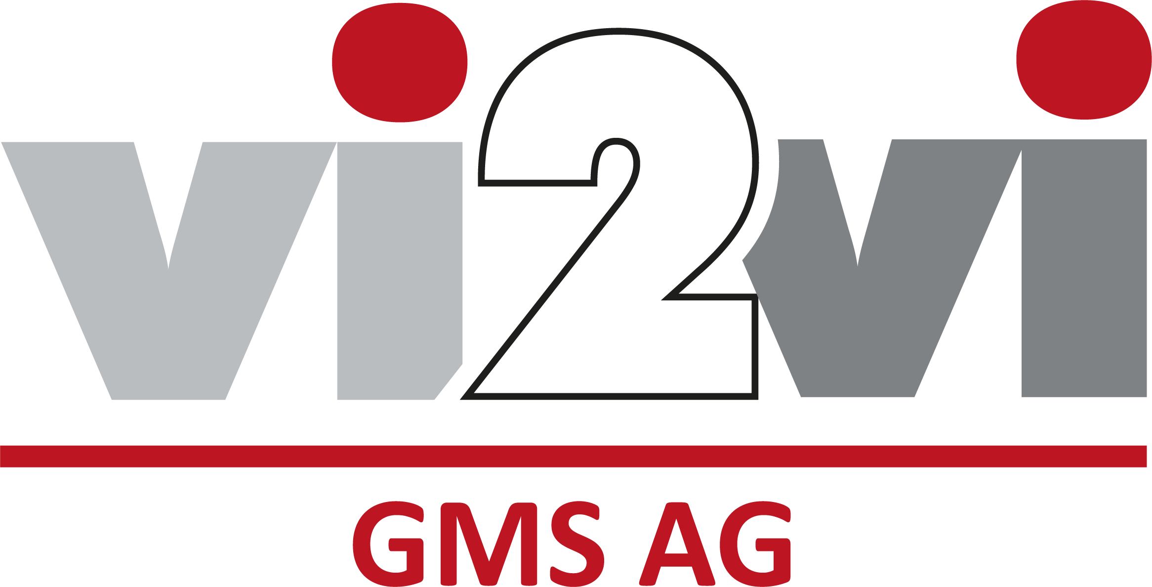 vi2vi_gms_CH@300x.png