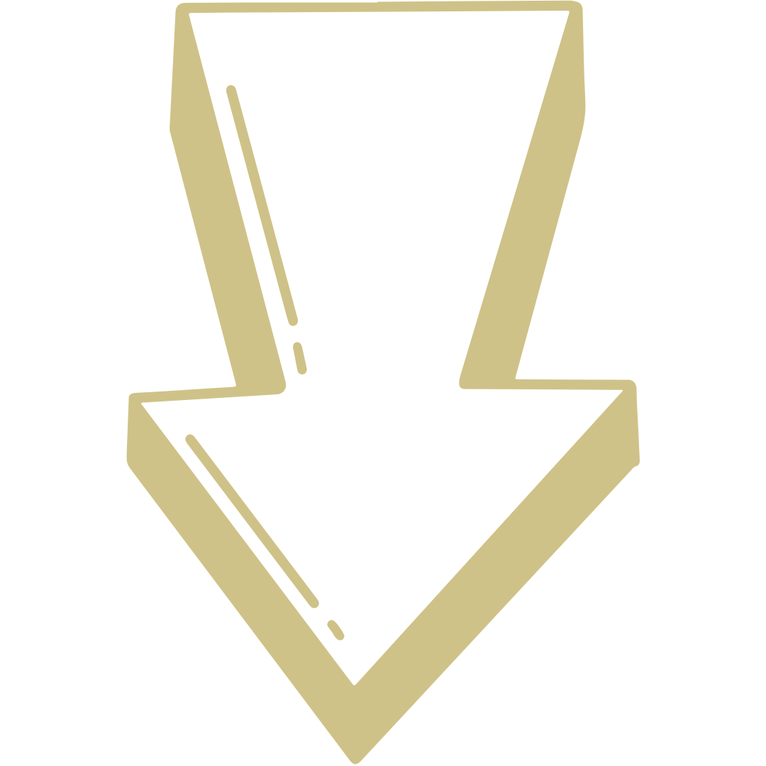 Design ohne Titel (22).png