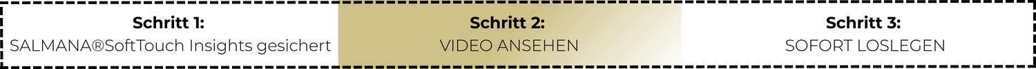 Schritt 1 SALMANA®SoftTouch Insights gesichert (1).png