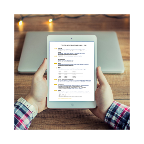 One Page Business Plan (mockup).png