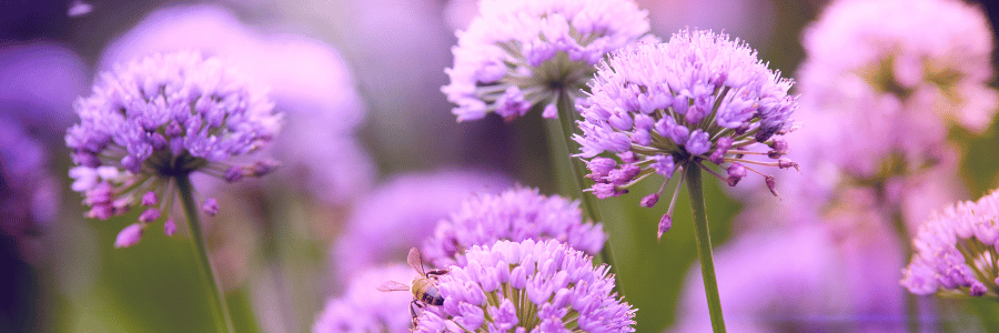 Erschöpfte Mamas zurück in ihre Kraft